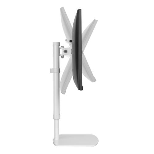 Support de bureau Neomounts pour écran plat jusqu'à 30" blanc