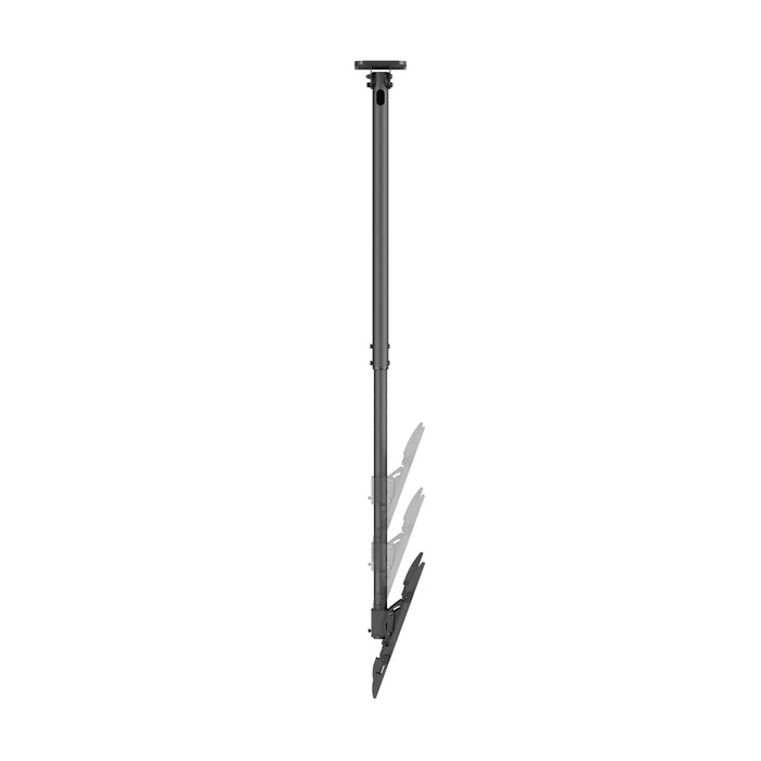 Wolff Mount Support TV universel pour plafond – 32 à 55 pouces – Orientable et inclinable – Convient également aux plafonds inclinés