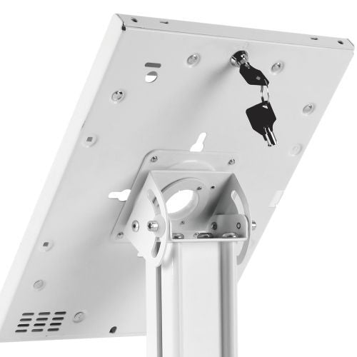 Support de bureau Wolff Mount TVB-138 – Kiosque antivol pour tablettes iPad et Samsung